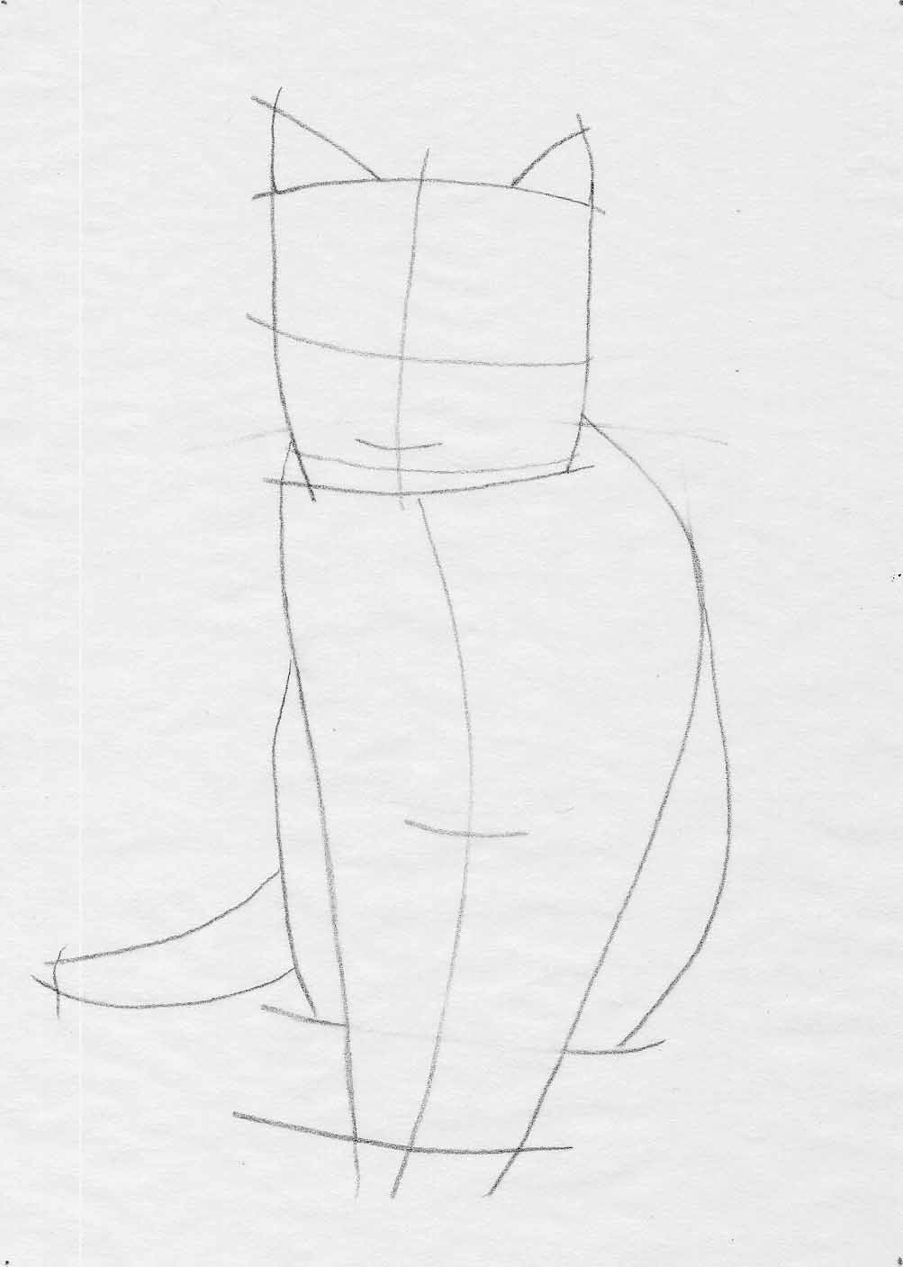 cat drawing tutorial part 2