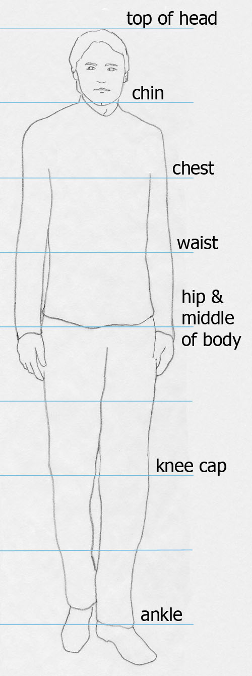 man drawing with proportions shown