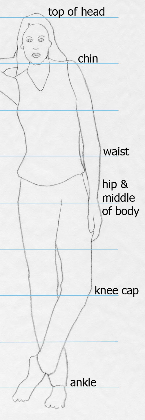 woman drawing showing proportions